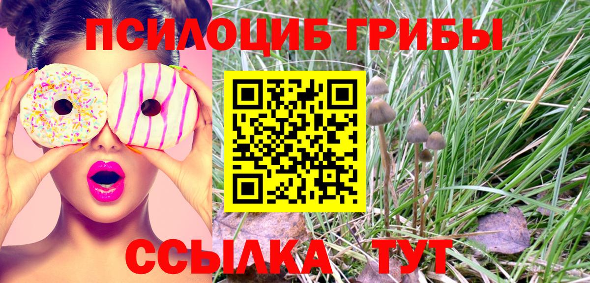 Псилоцибиновые грибы MAGIC MUSHROOMS  Вход с VPN  Кемерово 